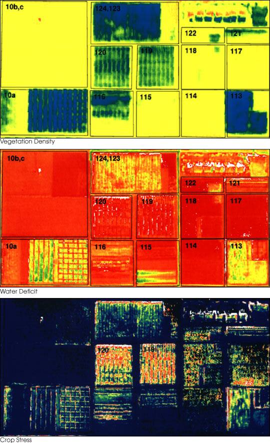 Field map visualizing biomass estimation